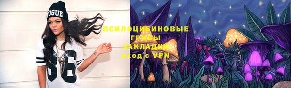 хмурый Алексеевка
